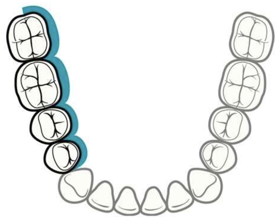 <p>Which aspect is this image highlighting?</p>