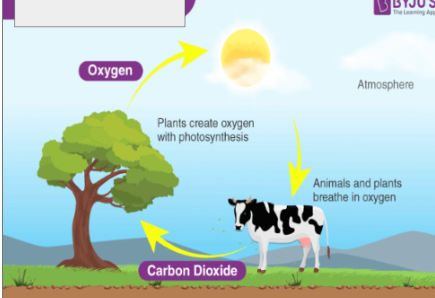 <p>name the cycle</p>