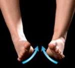 <p>name the muscle action</p>