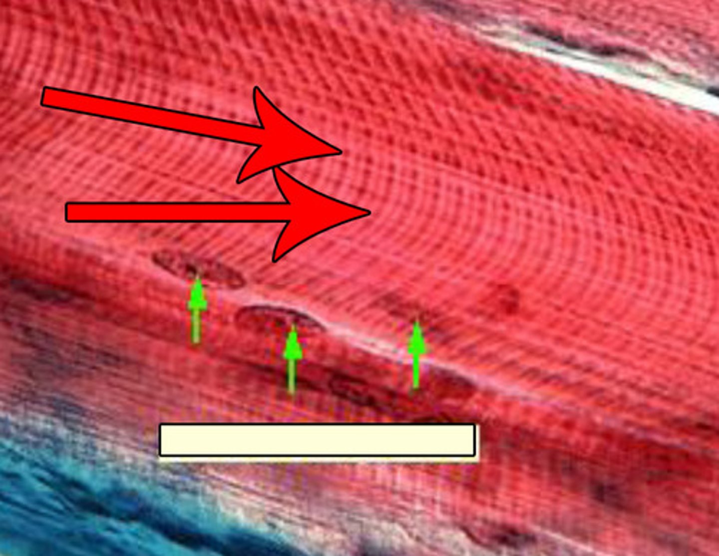 <p>type of feature? {RED ARROW}</p>