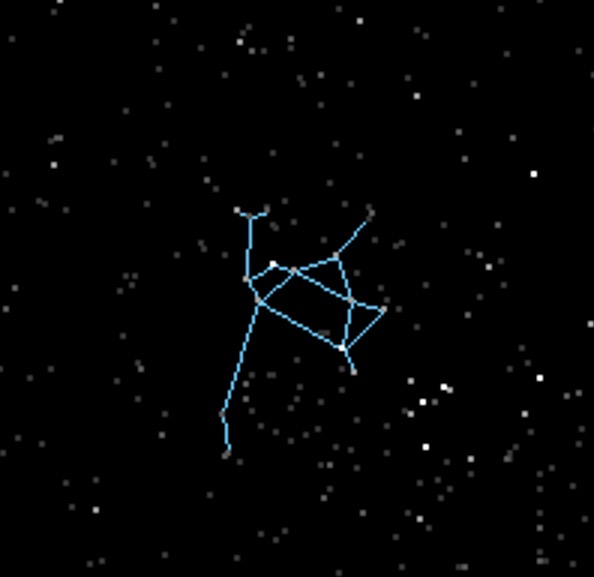term image