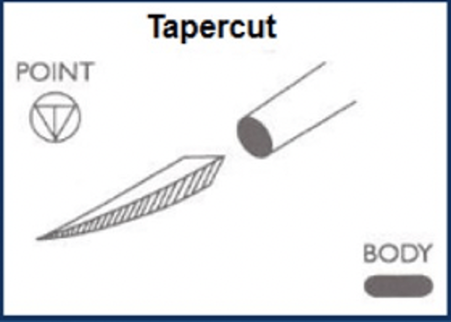 <p>-also known as troclar point</p><p>- all 3 edges are sharpened to provide uniform cutting action</p><p>-objective: point itself not to exceed the diameter of the suture material</p><p>-used in CV surgery on sclerotic or calcified tissue</p><p>-used on dense and fibrous connective tissue</p>
