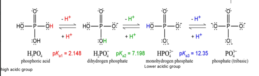 <p>pKa values of the –OH groups will likely change if the phosphate is part of a molecule.</p><p>You can have the same functional group but depending on the structure of the molecule the pKa varies</p><ul><li><p>see slide 90 - 91</p></li></ul><p></p>
