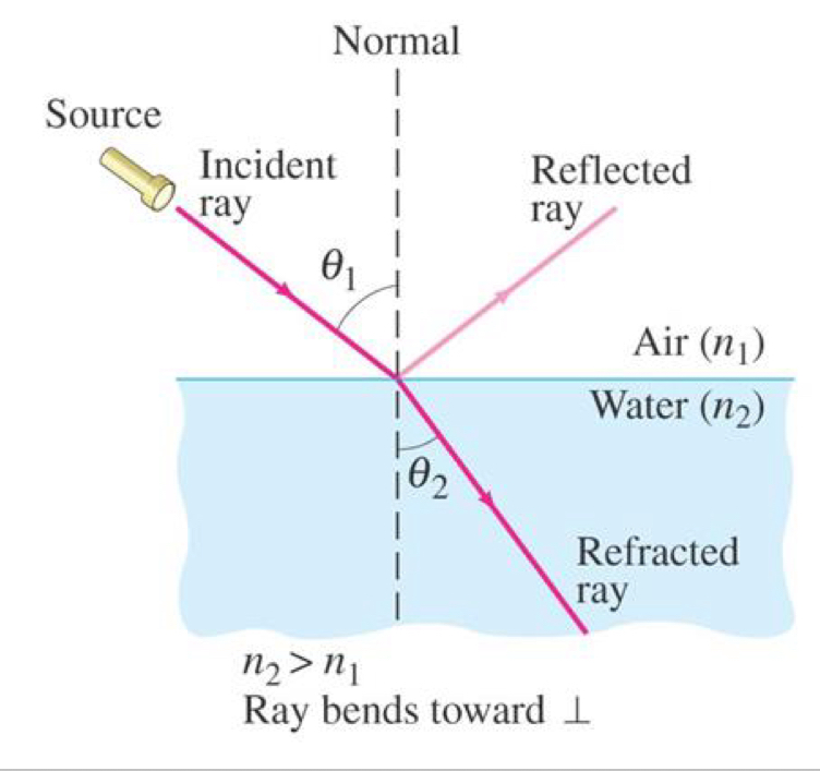 <p>Law of Refraction</p><ul><li><p>Light changes —— (—-) when crossing a boundary from one medium to another, this is called refraction </p></li><li><p>The angle the outgoing ray makes with the normal is called the angle of refraction </p><ul><li><p>Remember, the normal is always <strong>perpendicular </strong>to the surface of the medium </p></li><li><p><strong>SO angle of refraction is between the —- and the ——, NOT the —— boundary </strong></p></li></ul></li></ul><p></p>