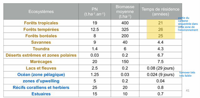 <p>Le temps de résidence de l’énergie correspond au temps moyen pendant lequel l’énergie reste stockée sous forme de biomasse dans un écosystème avant d’être transférée dans la chaîne alimentaire ou dissipée.</p><p>Temps de résidence = Biomasse / Production nette</p><p>Dans les écosystèmes forestiers (comme les forêts tropicales ou tempérées), la biomasse est très importante. Cette grande quantité de biomasse signifie que l’énergie est stockée longtemps dans les organismes vivants (principalement les arbres).</p><p>Dans les écosystèmes aquatiques dominés par le phytoplancton la biomasse est très faible mais la production primaire est rapide. Le phytoplancton se renouvelle très rapidement et est rapidement consommé par les organismes marins. Ainsi, l’énergie reste stockée très peu de temps dans la biomasse.</p>