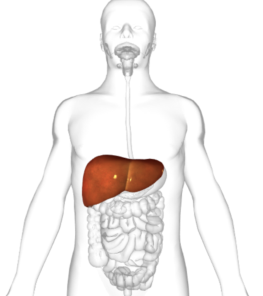 <p>what is highlighted</p>