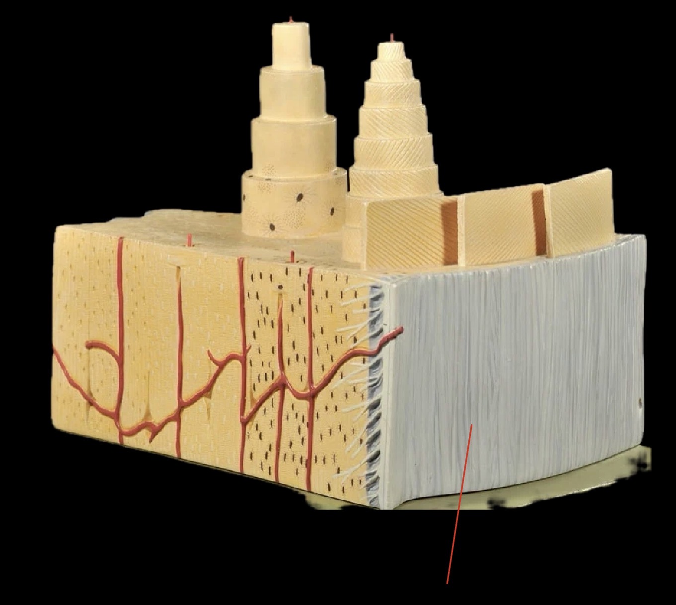 <p>What is this?</p>