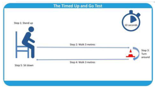 <p><strong><u>Timed Up and Go Test (TUG)</u></strong></p><ol><li><p>normal health elderly complete in _______</p></li><li><p>Score _____ = HIGH RISK FOR FALLS</p></li></ol><p></p>