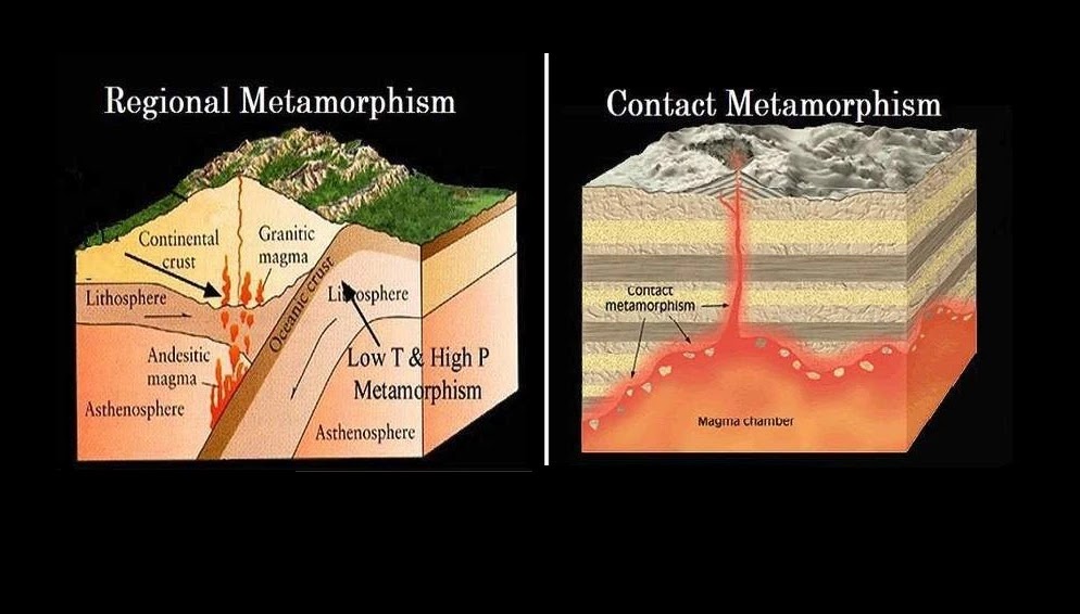 <p>Metamorphism</p>