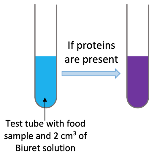 <p>food tests- e.g. benedicts, biurets, iodine, ethanol (learn methods)</p>