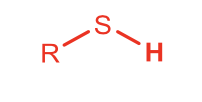 <p>Thiol</p>