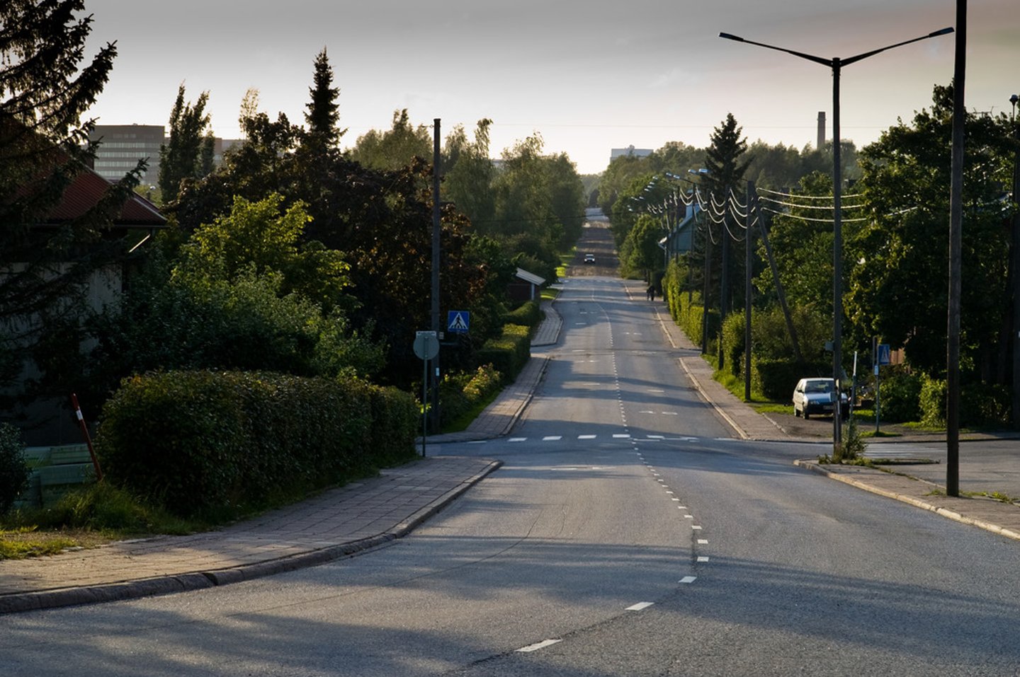 <p>street</p>