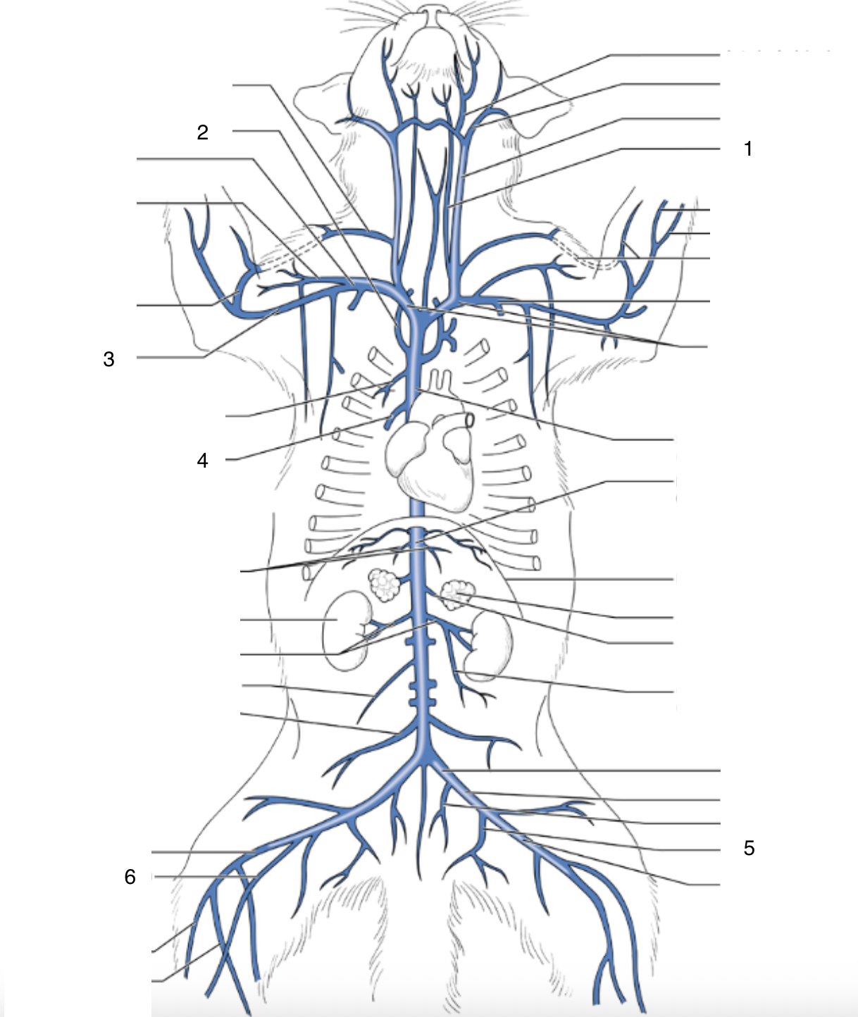 <p>3</p>