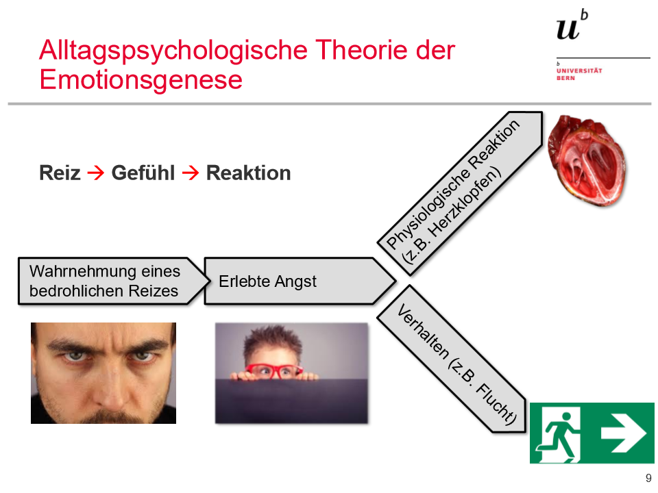 <p><span style="background-color: rgb(229, 224, 236);"><strong>Alltagspsychologische Theorie der Emotionsgenese</strong></span></p><ul><li><p><span>Reiz => Gefühl => Reaktion</span></p></li></ul><p></p>