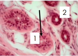 <p>1</p>