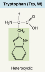 <p>Heterocyclic</p>