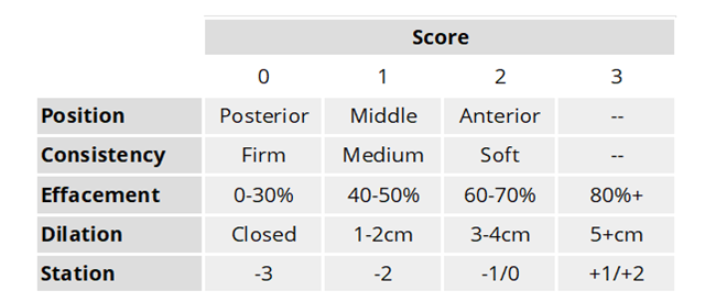 <ul><li><p>Maternal & Fetal status</p></li><li><p><strong><u>Cervical Assessment for Ripeness</u></strong></p><ul><li><p><span style="color: rgb(255, 26, 198);"><strong><u>Ripe cervix</u></strong></span>: 1st step in before <span style="color: yellow;">effacement/dilation</span></p></li><li><p>Bishop Score</p><ul><li><p>likely successful induction</p></li><li><p>Short, centered, soft, partially dilated is good!</p></li><li><p>Good score:</p><ul><li><p><span style="color: rgb(31, 236, 38);">8-10 good</span></p></li><li><p><span style="color: yellow;">6-7 give some time, middle rnage</span></p></li></ul><ul><li><p><span style="color: rgb(238, 114, 21);">0-5 give meds to rippen</span></p></li></ul></li></ul></li></ul></li></ul><p></p>