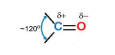 <p><span>lk đôi C = O pcực về phía ntử oxygen</span><br><span>lk cộng hóa trị phân cực</span><br><br><span>do lai hóa sp<sup>2</sup></span></p>