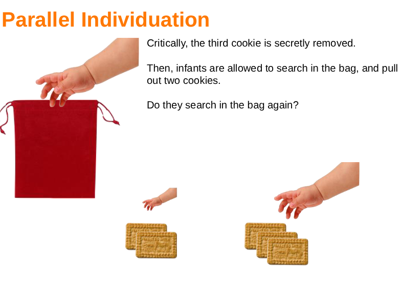 <ul><li><p>Adults can track from 1-4 objects simultaneously without major difficulties</p><ul><li><p>Infants (14mos) appear to have a similar capacity</p></li></ul></li><li><p><span style="background-color: inherit; line-height: 21.85px; color: windowtext;">Can track 2 vs 3 (do search in the bag again) BUT can't track 4 cookies going into the bag</span><span style="line-height: 21.85px; color: windowtext;"> </span></p></li></ul><p></p>