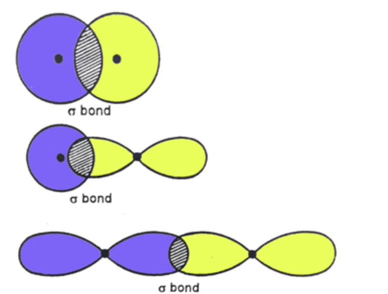 <p>Every single bond in a sigma bond, and every multiple contains exactly one sigma bond</p>