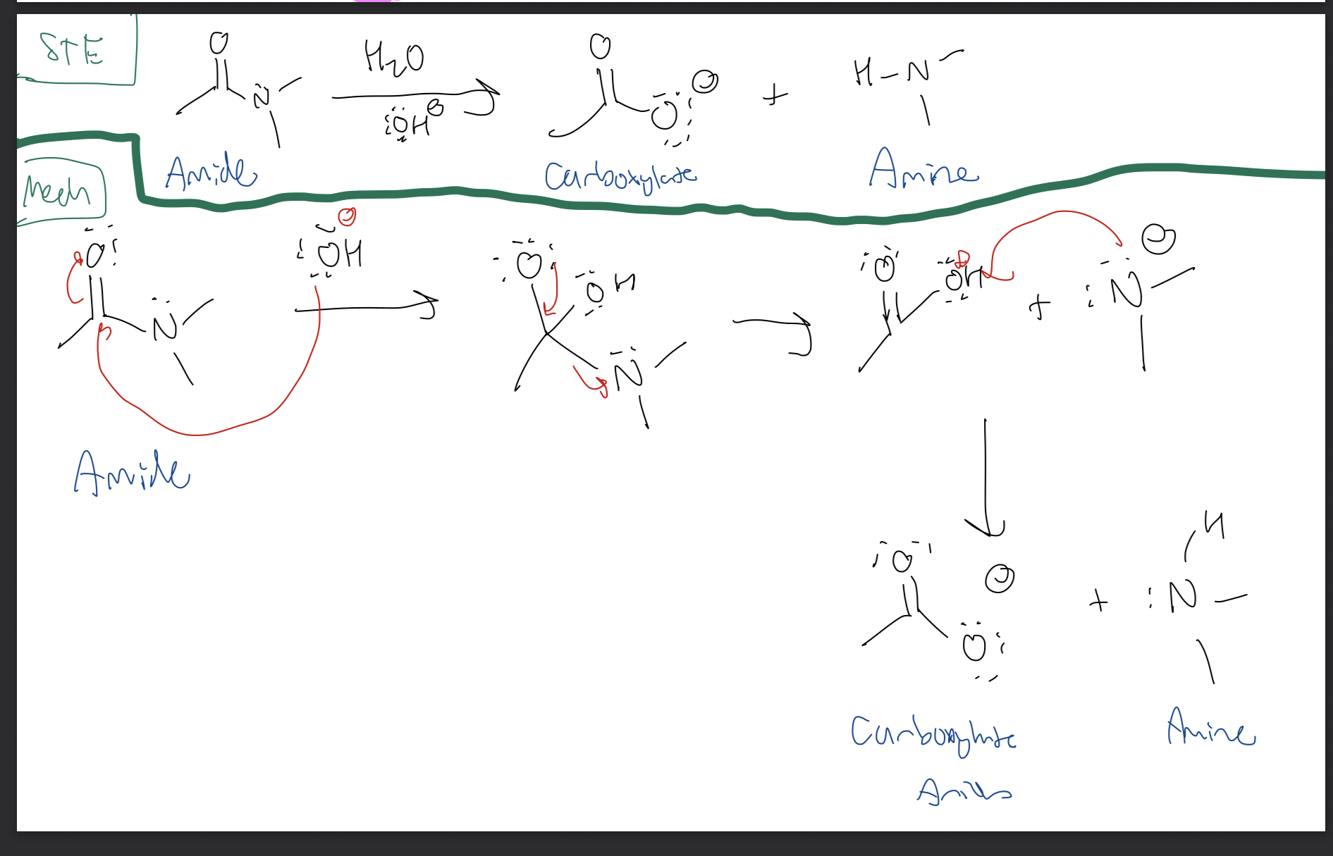 <p><strong>Amide → Carboxylate + Amine</strong></p>