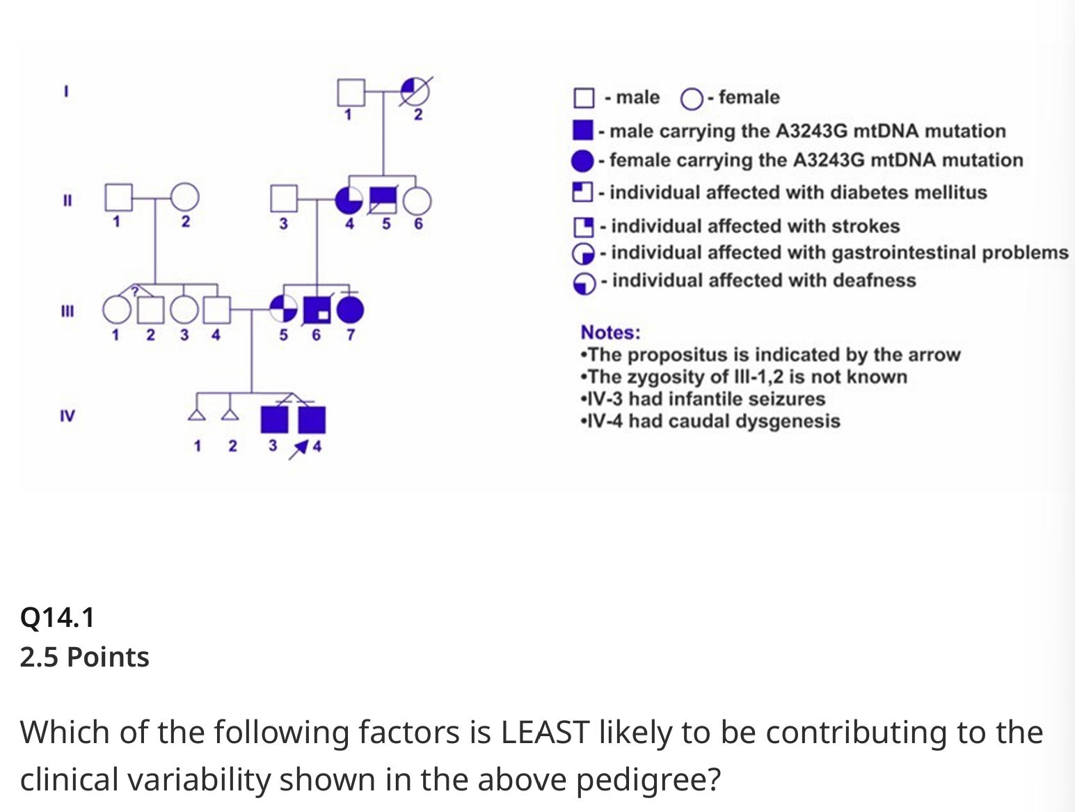 <p>Which of the following factors is LEAST likely to be contributing to the clinical variability shown in the above pedigree? </p><p>Environmental factors </p><p></p><p>Heteroplasmy </p><p></p><p>Skewed X-inactivation </p><p></p><p>Threshold effect</p>