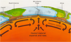 <p>A section of the lithosphere that slowly moves over the asthenosphere, carrying pieces of continental and oceanic crust.</p>