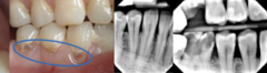 <p>What is the classification?</p>