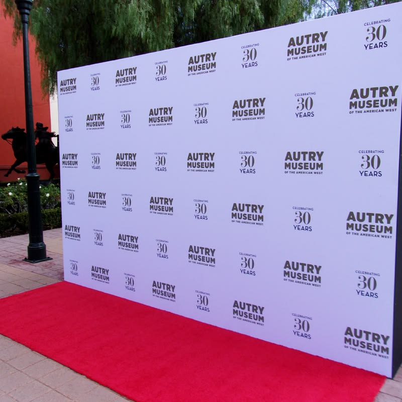<p>Backdrop (noun)</p>