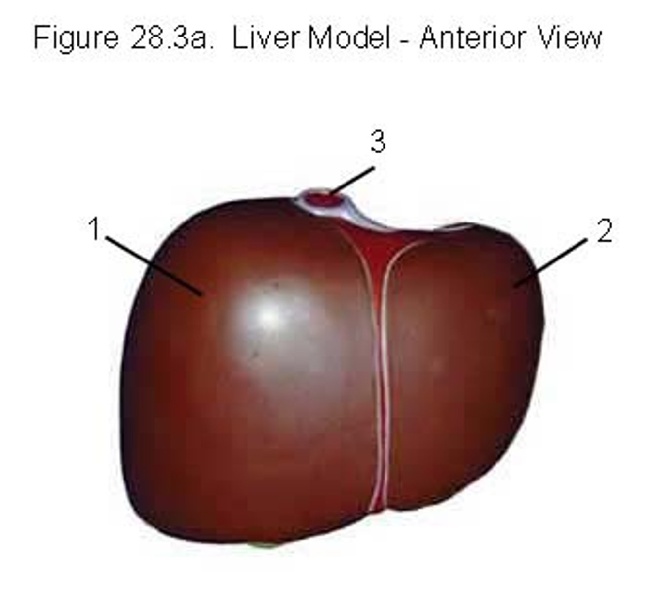 <p>2</p>