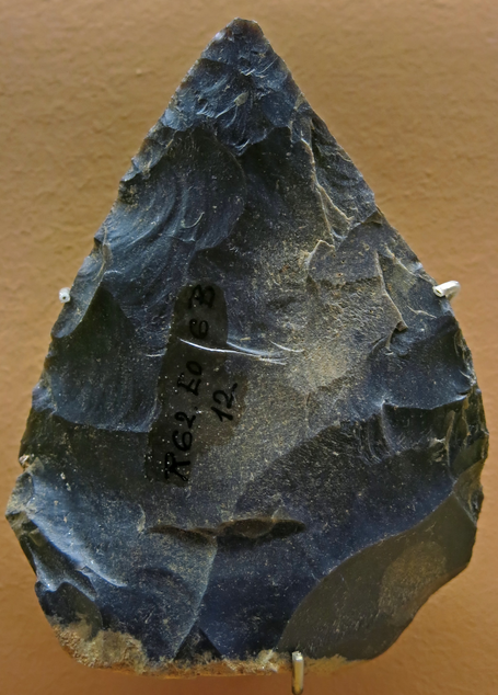 <ul><li><p>Flake tools for cutting, scraping, piercing (these tools had much smaller flakes)</p></li><li><p>Scraping tools to prepare animal hides for clothes</p></li><li><p>Hafting: a process by which an artifact (stone flake or bone) is attached to a haft (stick)</p></li><li><p>Levallois Technique:</p></li></ul><p>A piece of stone was first trimmed into a disc-shaped core and struck many times to produce flakes that were flat on one side and had sharp edges. This process was slow and labour intensive.</p><p></p>