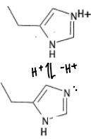 <p>What are the properties of Histidine?</p>