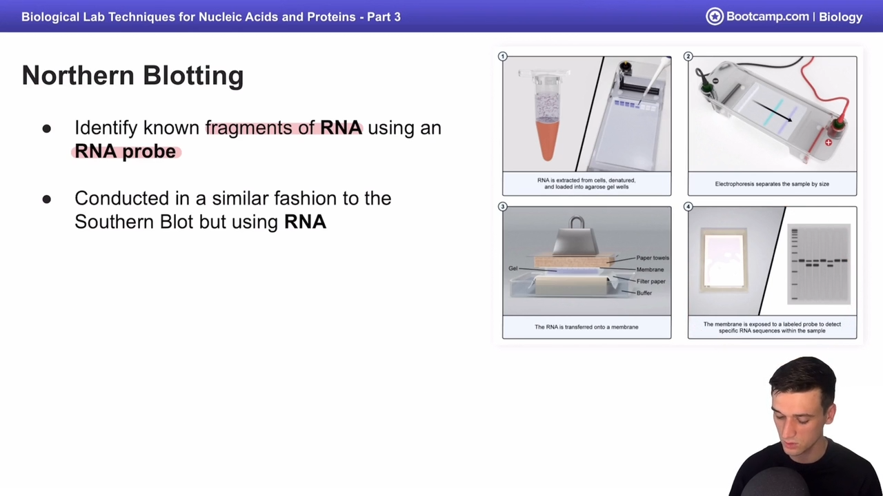 <p>Southern blotting but with RNA </p>