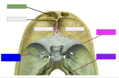 <p>This is the</p>