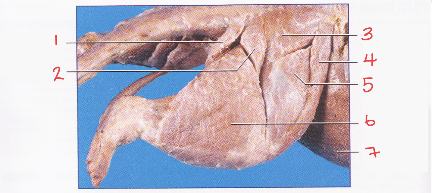 <p>2</p>