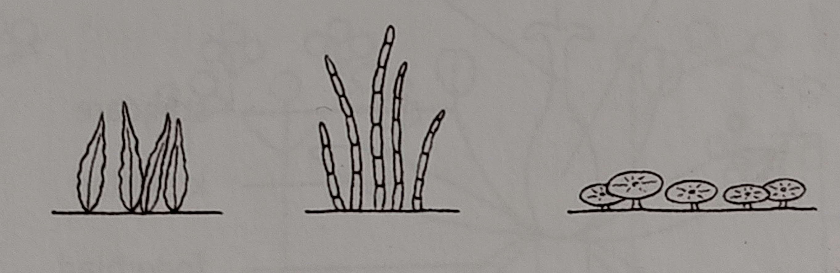 <p></p>