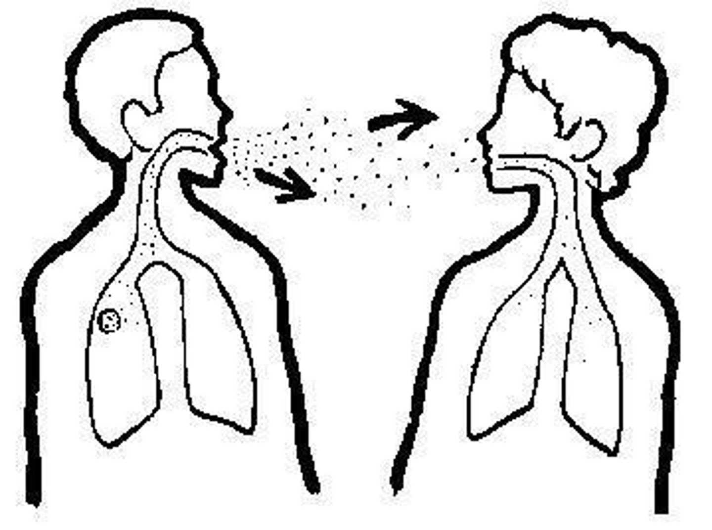 <p>(adj) = infectious</p><p>(adj) lây nhiễm</p><p>lây nhiễm; dễ lây lan (cảm xúc/tính chất)</p><p>a contagious disease / laughter</p>