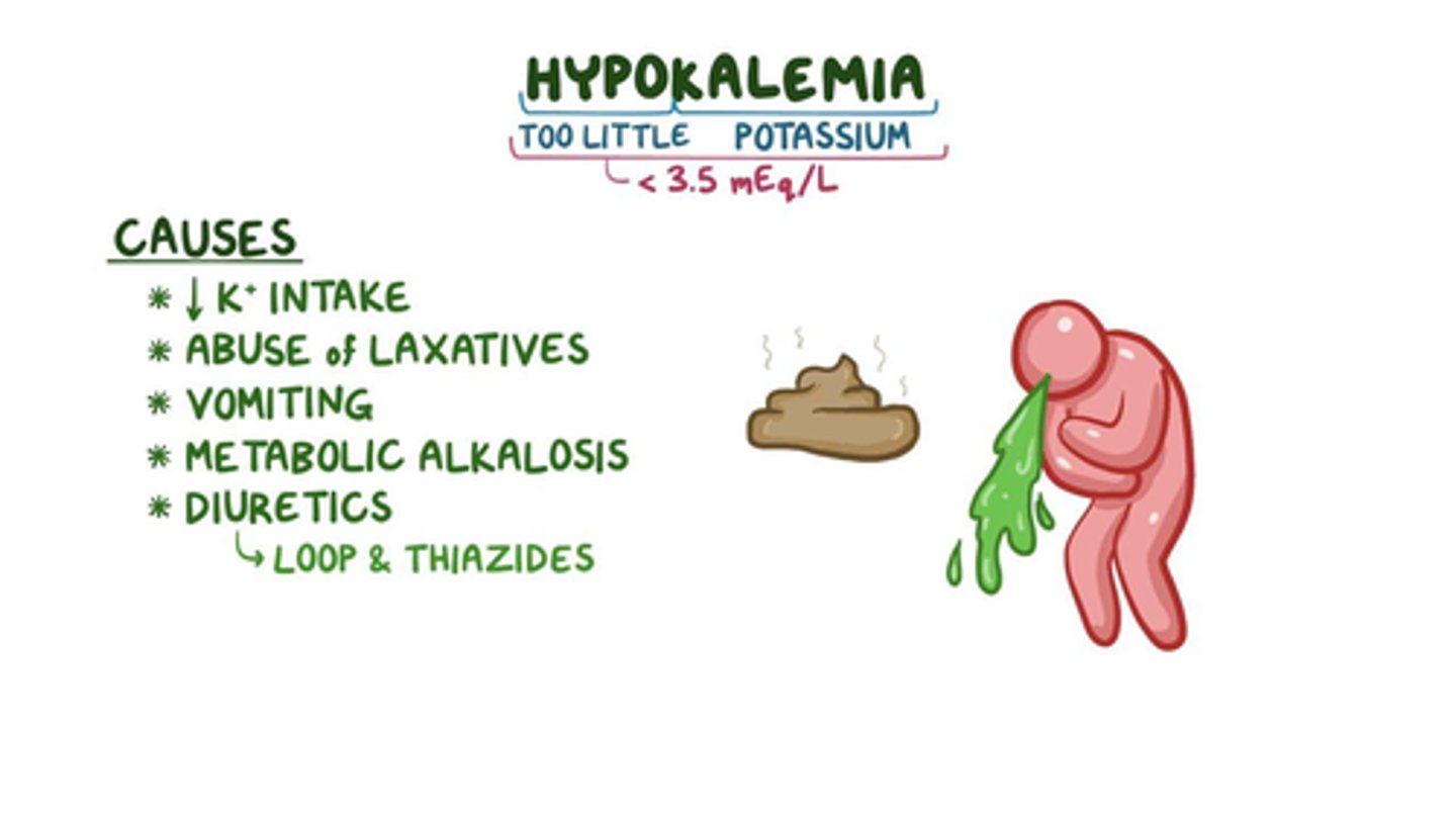 <p>B) Loop diuretics, vomiting, gastric suctioning, diarrhea, laxatives, corticosteroids, bulimia, hypomagnesemia, anorexia, Cushing's disease, DKA</p>