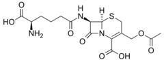 <p>example of</p>