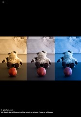 <p>The visual difference shown in the images MOST likely resulted from changes in:</p>