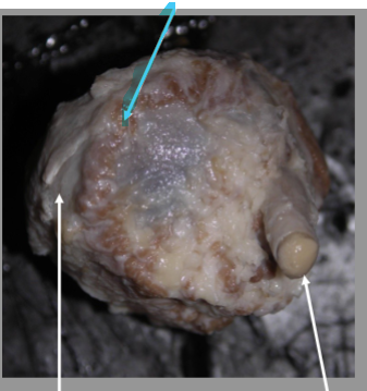 <p>What is the arrow pointing at?</p>