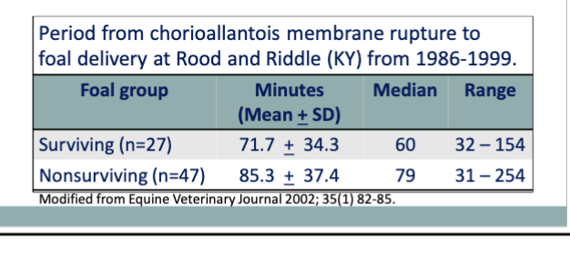 <ul><li><p>The equine placenta detaches readily from the uterus, so foals rarely survive extended labor</p></li><li><p>ideally, foaling should be attended so that help can be given quickly, if needed</p></li></ul><p></p>