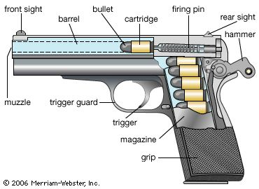 term image