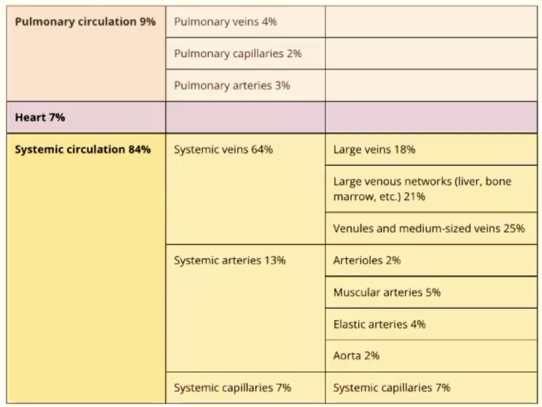 <p>Pulmonary circulation = 9%</p><p>Heart = 7%</p><p>Systemic circulation = 84%</p><ul><li><p>Veins = 64%</p></li><li><p>Capillaries = 13%</p></li><li><p>Arteries = 7%</p></li><li><p>systemic veins are essentially blood volume reservoirs</p></li><li><p>the ‘reserve’ can be utilised when needed</p></li></ul><p></p>