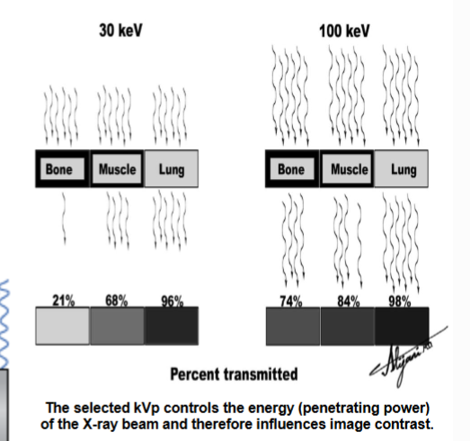 <ul><li><p>More kVp => stronger beam=> more penetrating power => less contrast</p><ul><li><p>Has inverse relationship</p></li></ul></li><li><p>Collimation shapes xray beam → reduces fog→ increases contrast</p></li><li><p>filtration → remove longer weaker waves → stronger beam→ decreases contrast</p></li></ul><p></p>