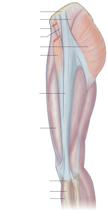 <p>Label the following diagram</p>