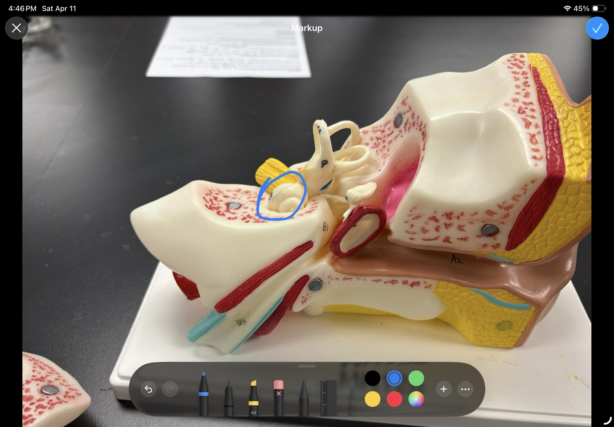 <p>what structure is this </p>