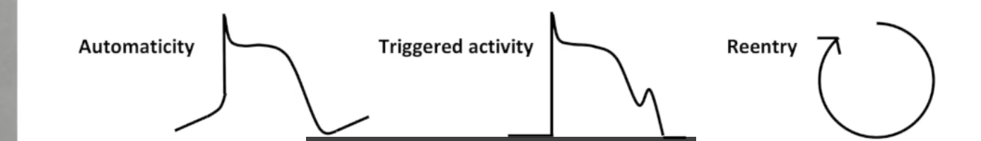<p>Antiarrhythmics target different mechanisms: most commonly reentrant circuit by altering conductivity/refractoriness</p><ul><li><p>Reentry: electrical impulse caught in self-propagating loop</p></li><li><p>Abnormal automaticity: non-pacemaker cells display automaticity</p></li><li><p>Triggered activity: afterdepolarizations trigger new action potential</p></li></ul><p></p>