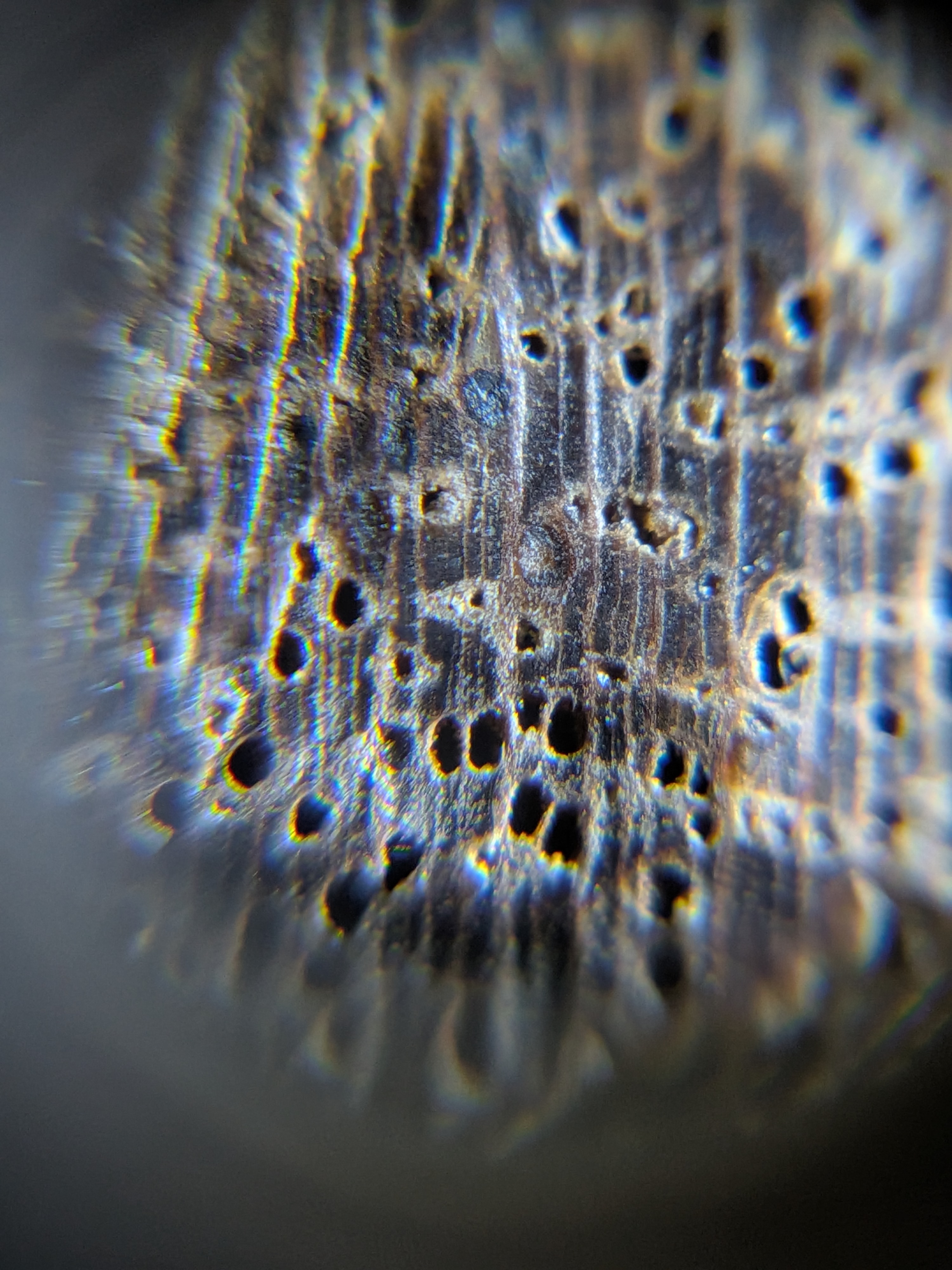 <p></p>