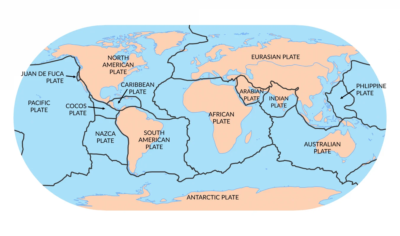 <p><span>Pacific Plate, North American Plate, Eurasian Plate, African Plate, Antarctic Plate, Australian Plate, and South American Plate</span></p>